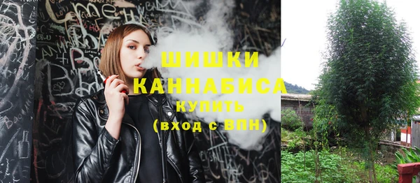 соль ск Киреевск