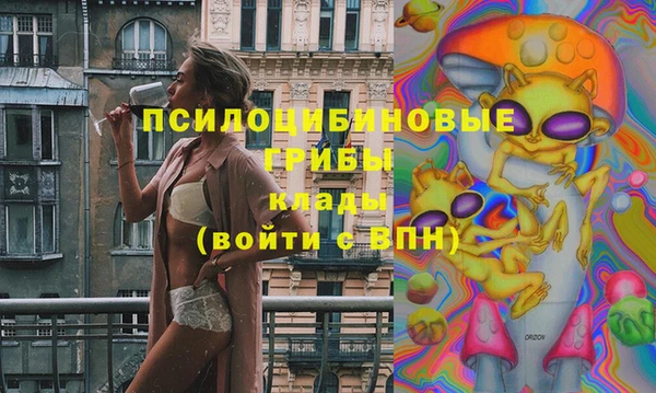 соль ск Киреевск