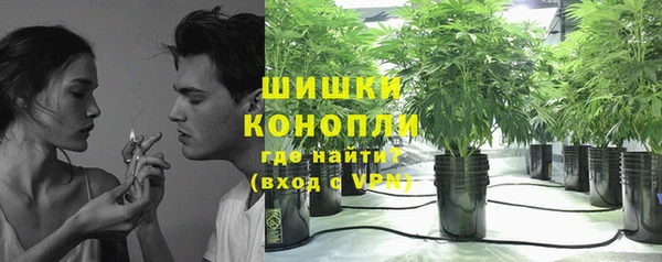 крисы Кинешма