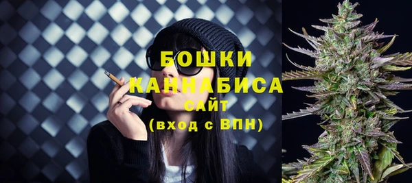 крисы Кинешма