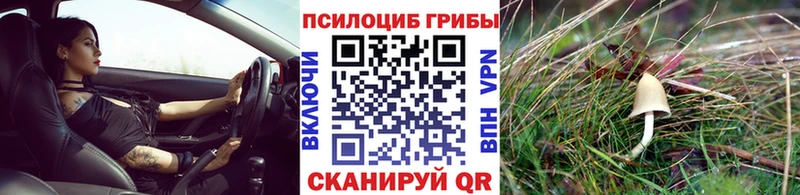 Галлюциногенные грибы мухоморы  mega как зайти  Горячеводский  закладки 